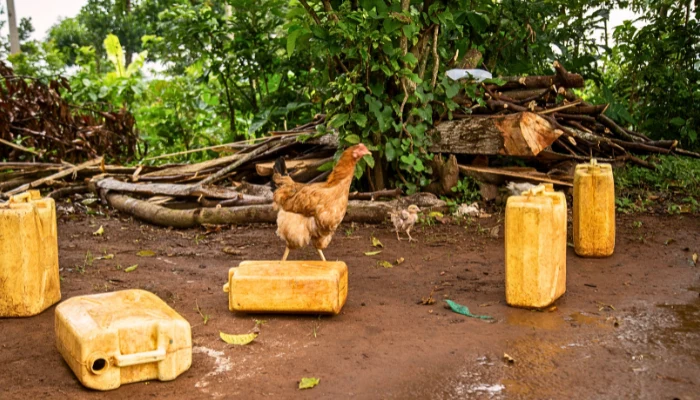 Scattered yellow jerrycans of water sit on the ground at a rural Ugandan school, moments after students have fetched them. The image highlights how children spend valuable time and energy collecting water instead of learning, reflecting the everyday challenges that Baino Social Impact works to overcome through access to education and basic resources.