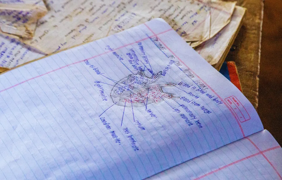 Close-up of a student’s class notes showing a hand-drawn heart with labeled parts—capturing the dedication to learning and Baino Social Impact’s commitment to quality education in rural Uganda.
